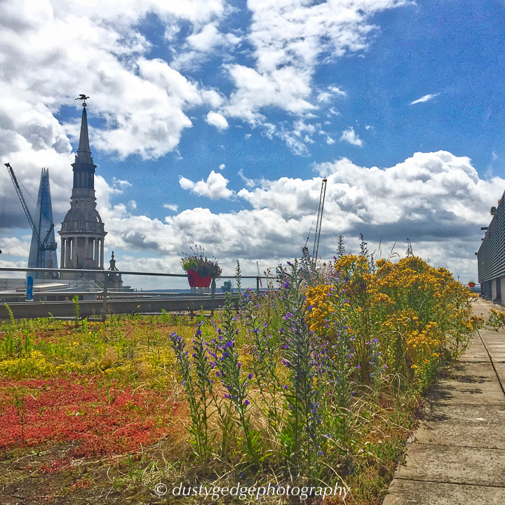 Habitats for wildlife in London