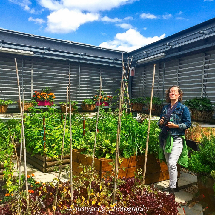 Food growing green roofs are habitats for nature too