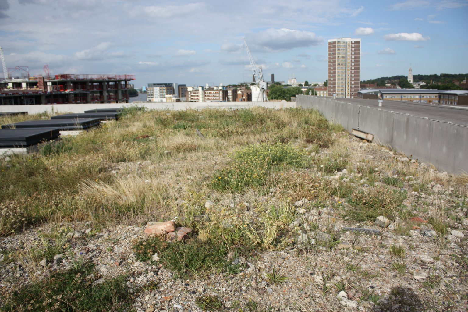 The green roof brown roof on the Laban Dance Centre