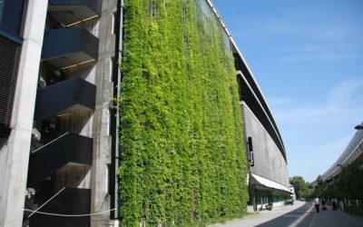 Green wall at Sihl City – Zurich