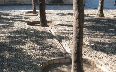 Cordoba, Spain – Rain Gardens