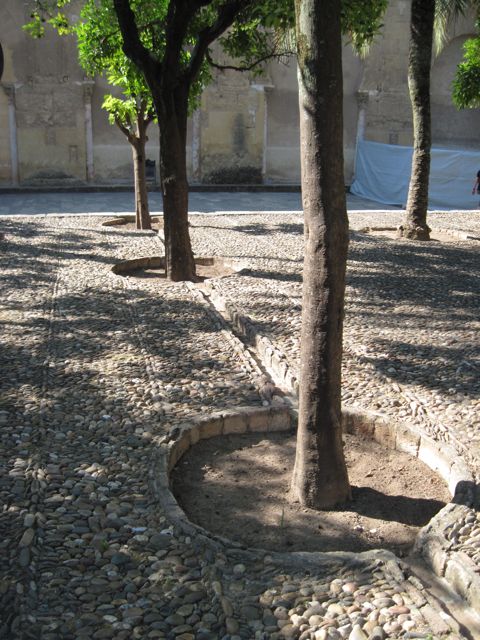 rain gardens in the plaza outside the Grand Mosque house Orange Trees