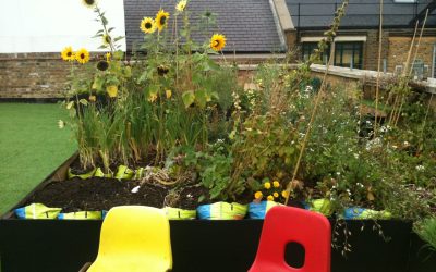 Rooftop allotment – Dalston, London