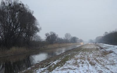 Insignificant bridge with a significant tale to tell – Andau