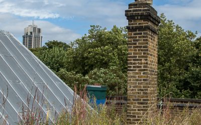 Wetlands, Rain Gardens and PDX summit
