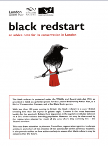 Black Redstart Guidance